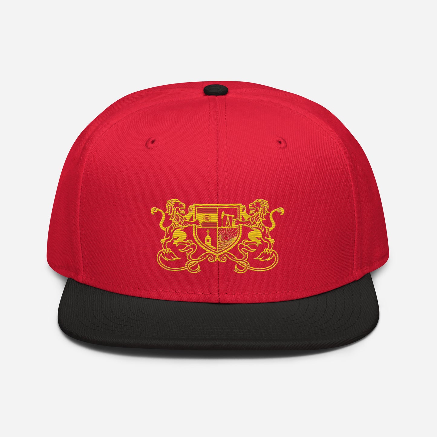 Brady Snapback Hat