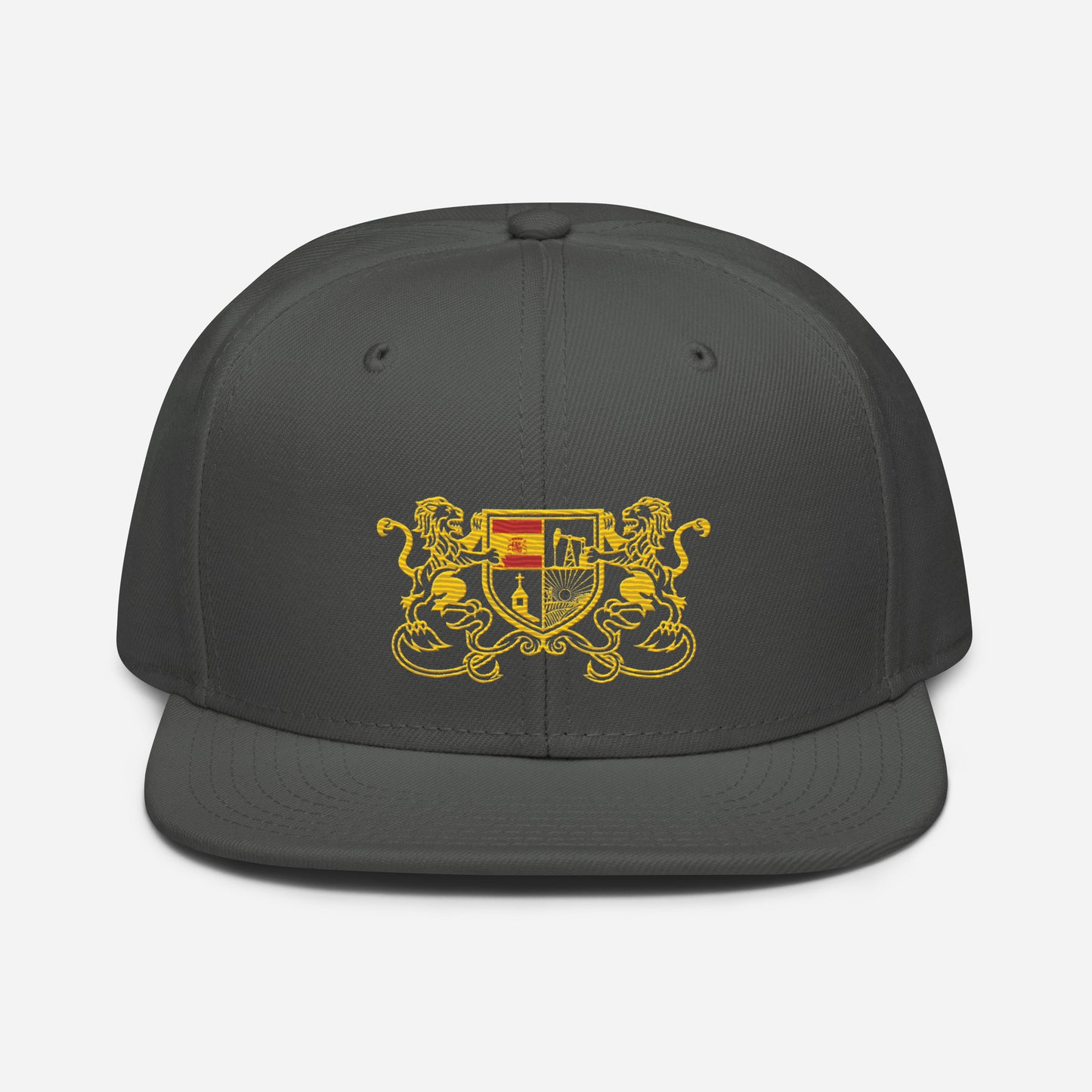 Brady Snapback Hat