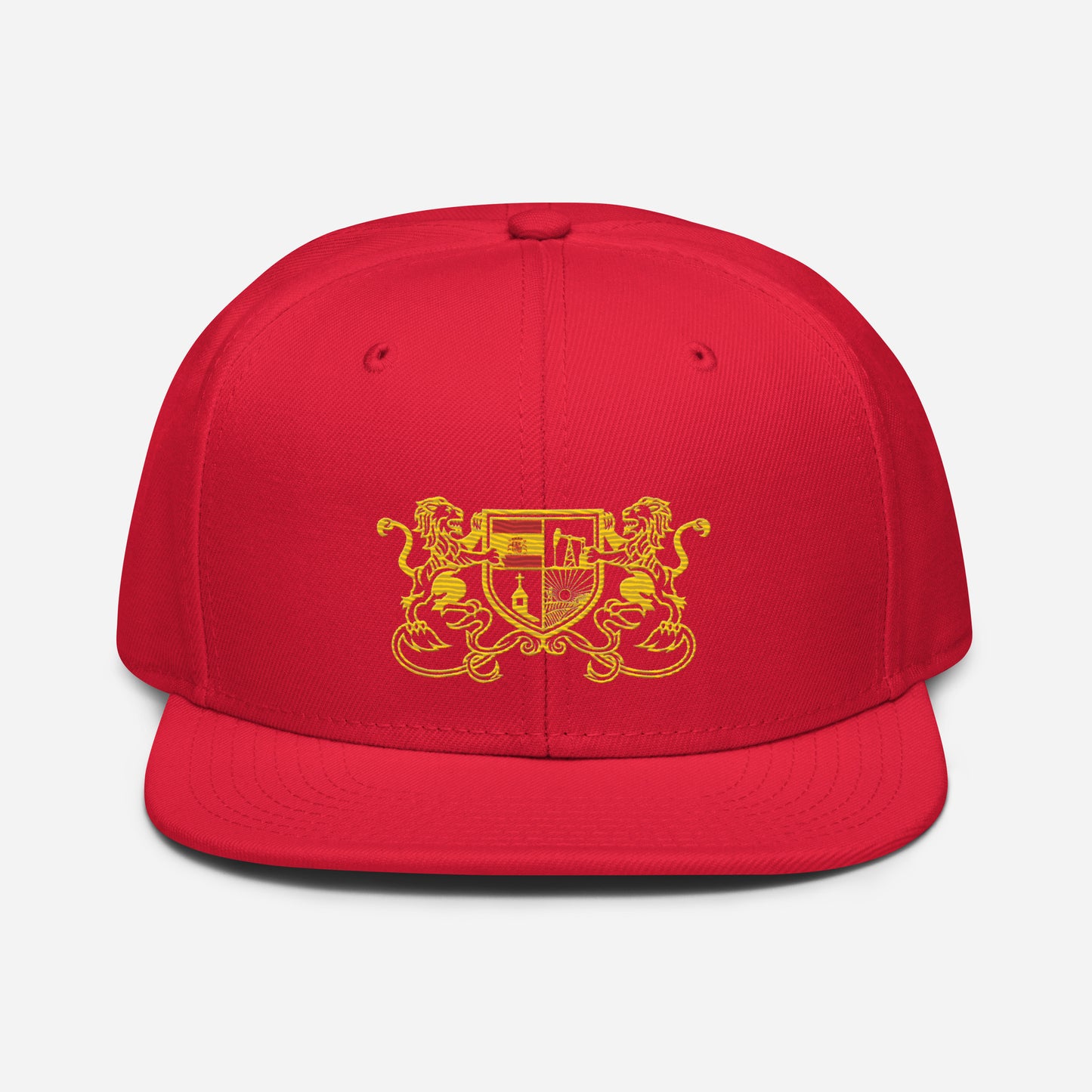 Brady Snapback Hat